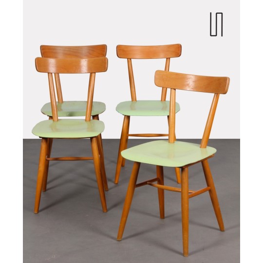 Suite de 4 chaises vertes éditées par Ton, vers 1960