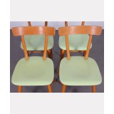 Suite of 4 green chairs edited by Ton, circa 1960