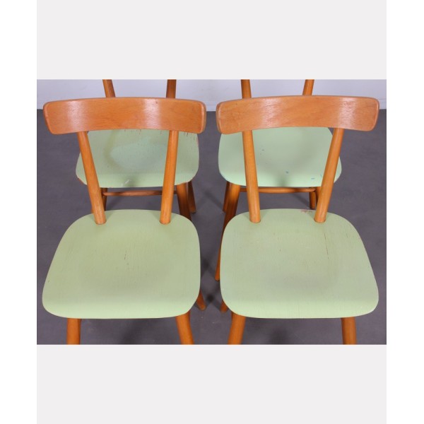 Suite of 4 green chairs edited by Ton, circa 1960 - Eastern Europe design