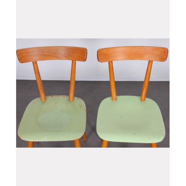 Suite of 4 green chairs edited by Ton, circa 1960 - Eastern Europe design