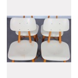 Suite of 4 vintage wooden chairs, edited by Ton, 1960s