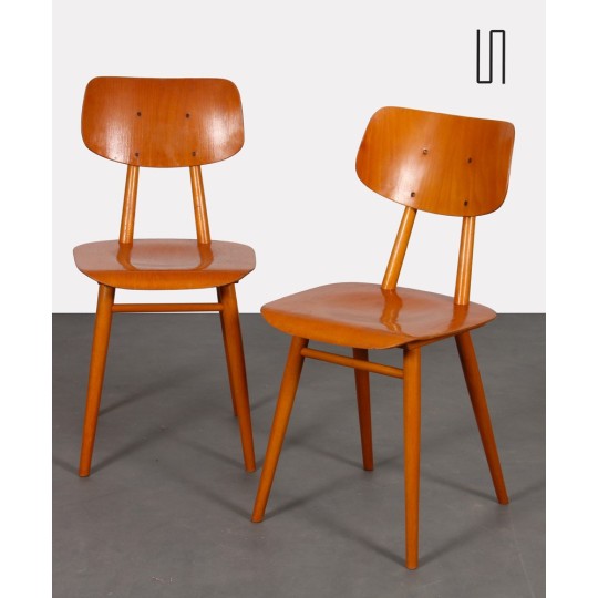 Paire de chaises en bois produite par Ton, 1960