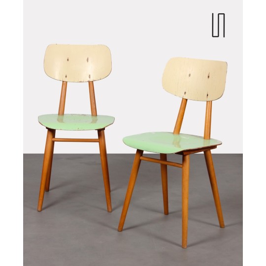 Pair of green chairs for Ton, 1960s - Eastern Europe design