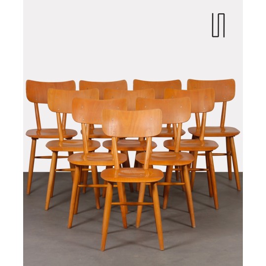 Set of 15 wooden chairs produced by Ton, 1960s
