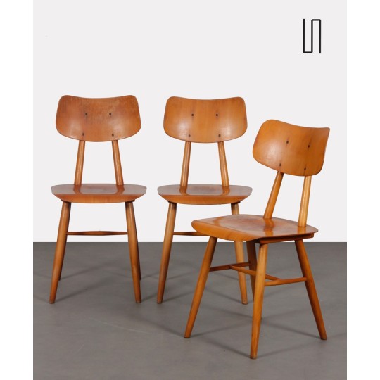Suite de 3 chaises produites par Ton, 1960