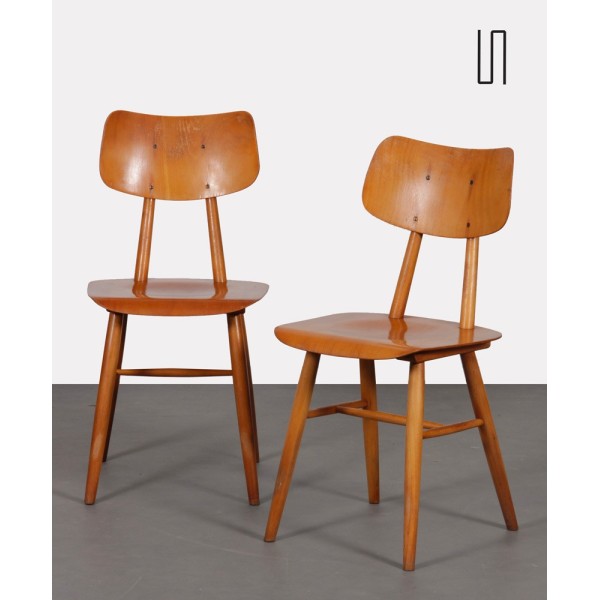 Pair of 2 wooden chairs produced by Ton, 1960s - Eastern Europe design