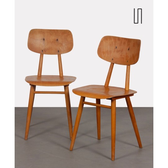 Pair of 2 wooden chairs produced by Ton, 1960s