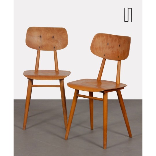 Paire de chaises en bois produite par Ton, 1960