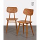 Pair of 2 wooden chairs produced by Ton, 1960s - Eastern Europe design