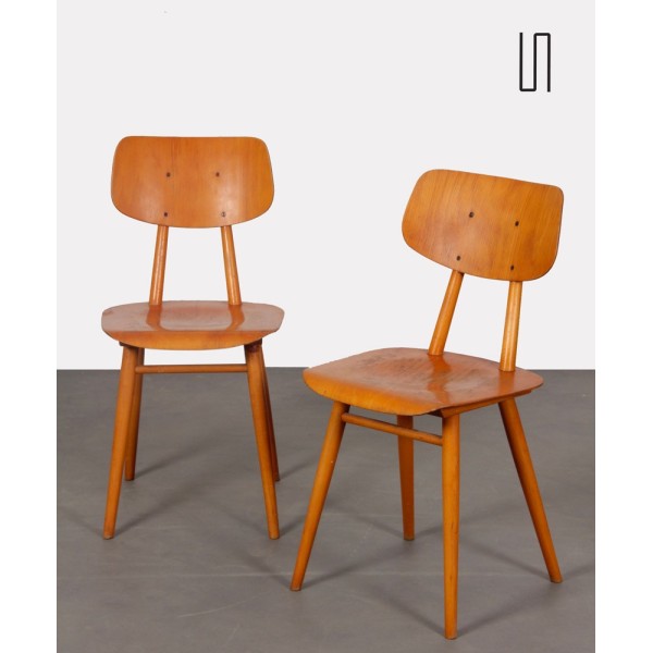 Pair of chairs from Eastern Europe, 1960s - Eastern Europe design
