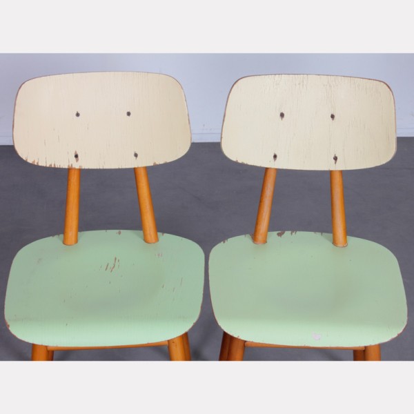 Suite of 4 vintage wooden chairs, edited by Ton, 1960s - Eastern Europe design