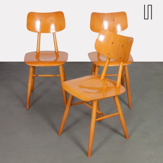 Suite de 3 chaises en bois produites par Ton, 1960 - Design d'Europe de l'Est