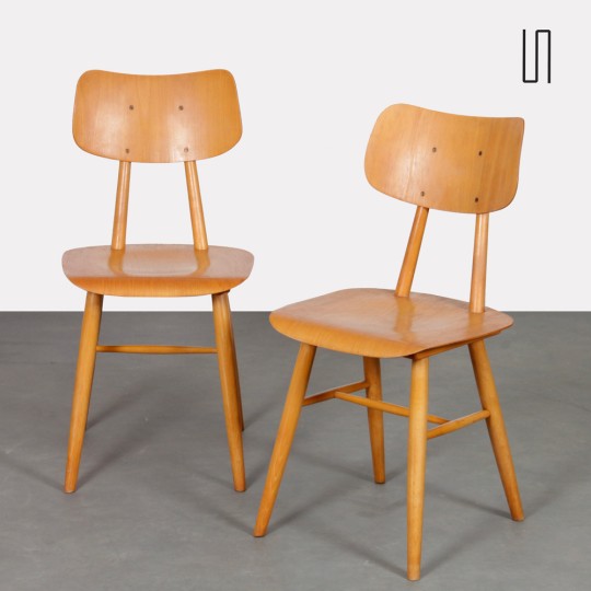 Paire de chaises en bois produite par Ton, 1960 - Design d'Europe de l'Est