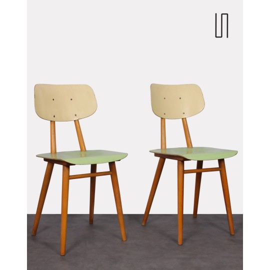 Pair of chairs from Eastern Europe for Ton, 1960s