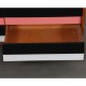 Vintage chest of drawers by Jiri Jiroutek, model U-453 from the 1960s - Eastern Europe design