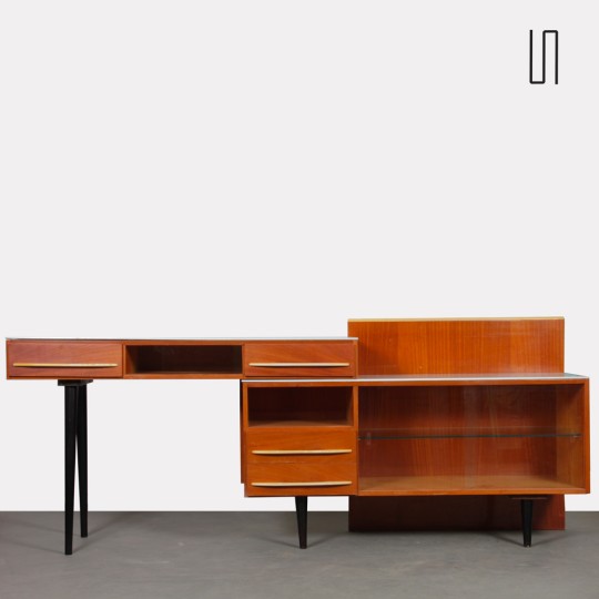 copy of Desk by Mojmir Pozar for UP Zavody, 1960s - Eastern Europe design