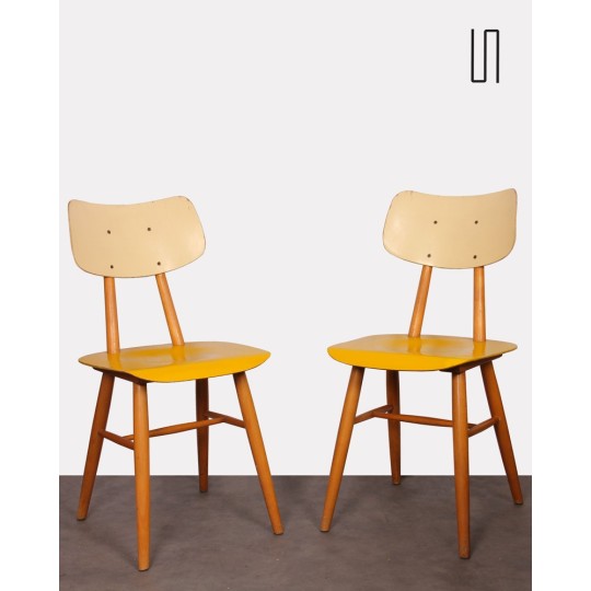 Pair of chairs from Eastern Europe for Ton, 1960s