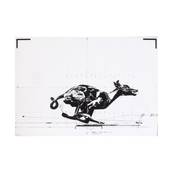 Screenprint - Vladimir Velickovic - Dog (Animal in motion) - Contemporary