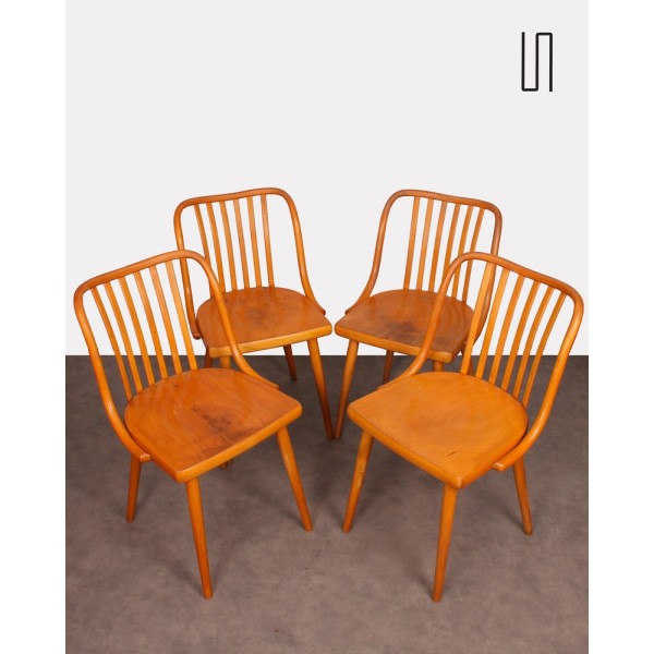 Suite de 4 chaises par Antonin Suman pour Ton, 1960 - Design d'Europe de l'Est