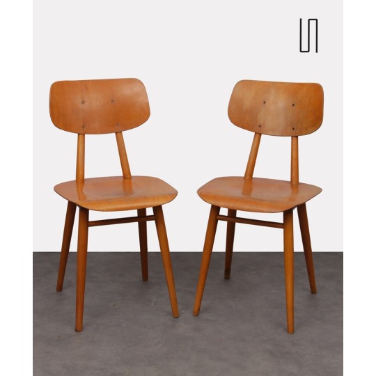 Pair of Eastern European chairs for Ton, 1960s