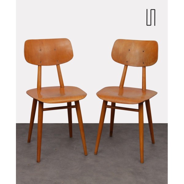 Pair of Eastern European chairs for Ton, 1960s - Eastern Europe design