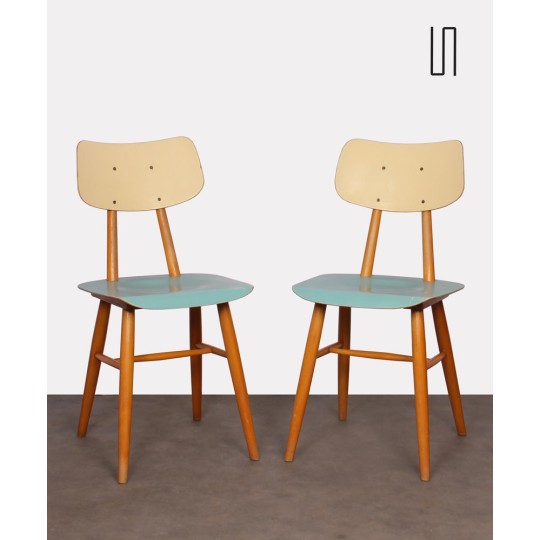 Pair of blue chairs for the manufacturer Ton, 1960