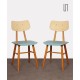 Pair of blue chairs for the manufacturer Ton, 1960 - Eastern Europe design