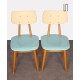 Pair of blue chairs for the manufacturer Ton, 1960 - Eastern Europe design