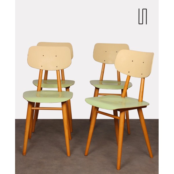 Suite de 4 chaises vertes pour Ton, 1960 - Design d'Europe de l'Est