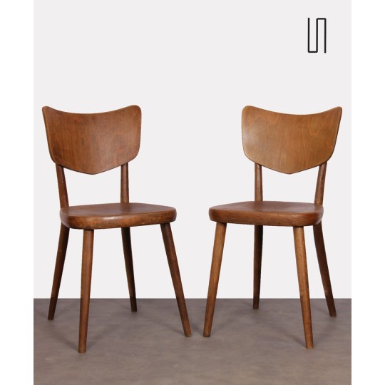 Pair of vintage chairs edited by Ton, 1960s