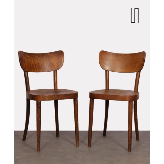 Paire de chaises en bois fabriquées par Ton, 1960