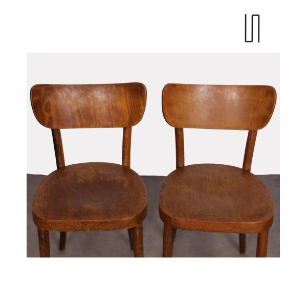 Paire de chaises en bois fabriquées par Ton, 1960 - Design d'Europe de l'Est