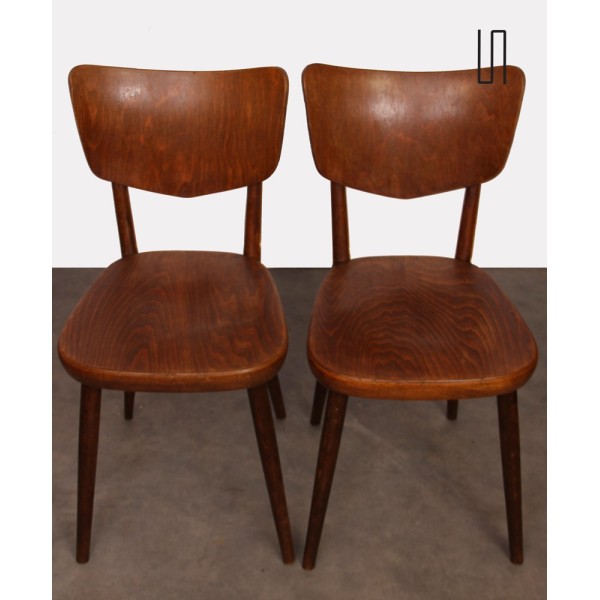 Pair of vintage chairs edited by Ton in the 1960s - Eastern Europe design