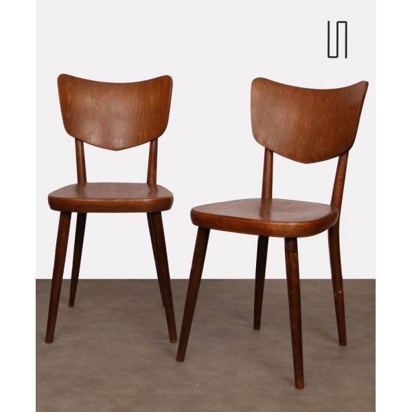 Pair of vintage chairs edited by Ton in the 1960s - Eastern Europe design