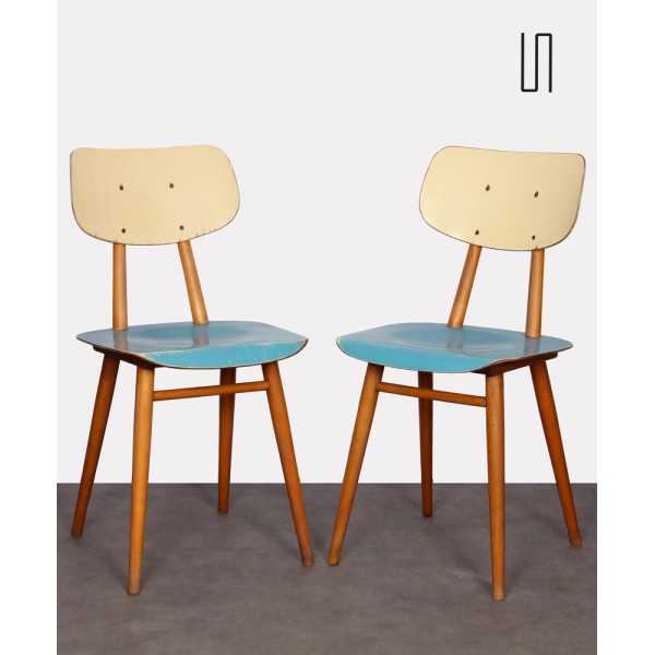 Pair of painted wooden chairs, edited by Ton, 1960s - Eastern Europe design