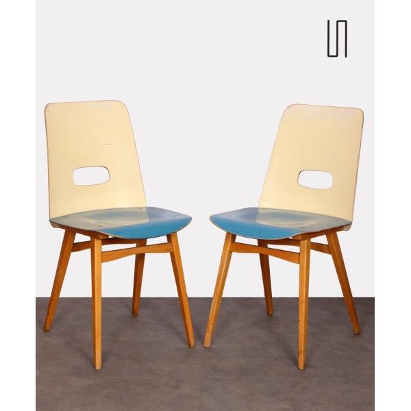 Pair of blue chairs for Czech publisher Ton, 1960s - Eastern Europe design