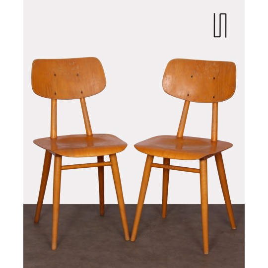 Pair of vintage Czech chairs, 1960s - Eastern Europe design