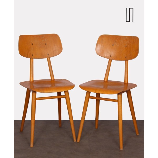 Pair of vintage Czech chairs, 1960s - Eastern Europe design