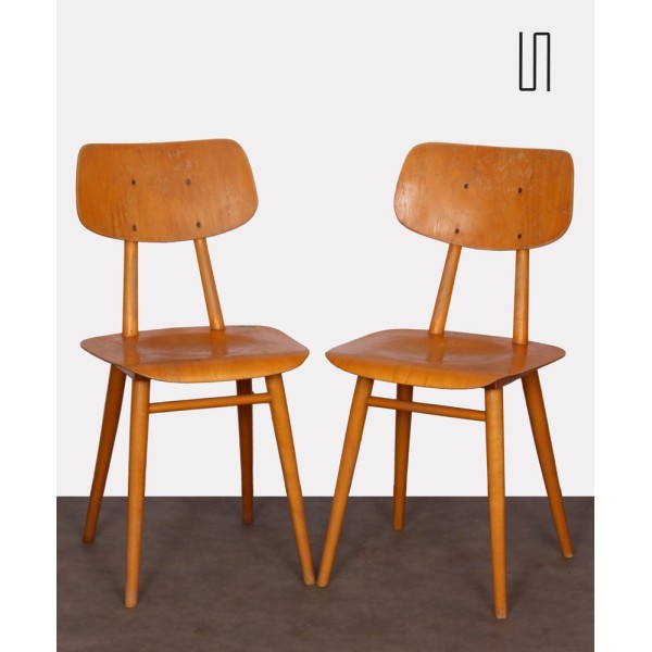 Paire de chaises tchèques vintage, 1960 - Design d'Europe de l'Est