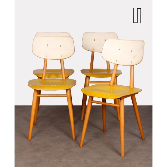 Suite de 4 chaises jaunes produites par Ton, 1960