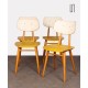 Suite of 4 yellow chairs produced by Ton, 1960s - Eastern Europe design