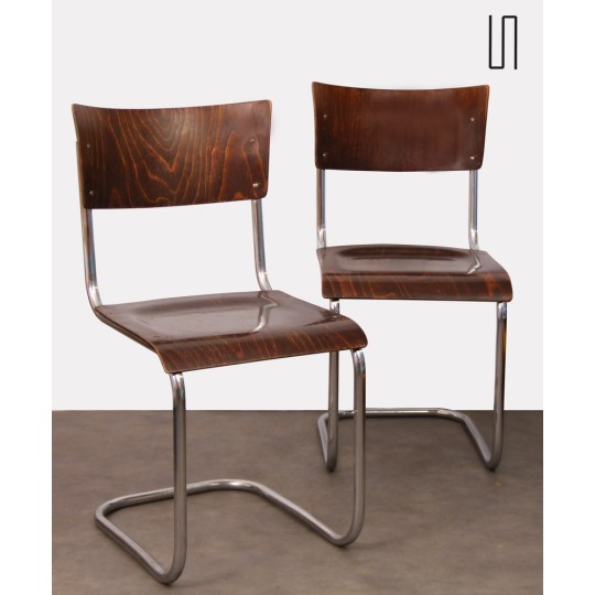 Pair of vintage chairs by Mart Stam for Kovona, 1940s - 
