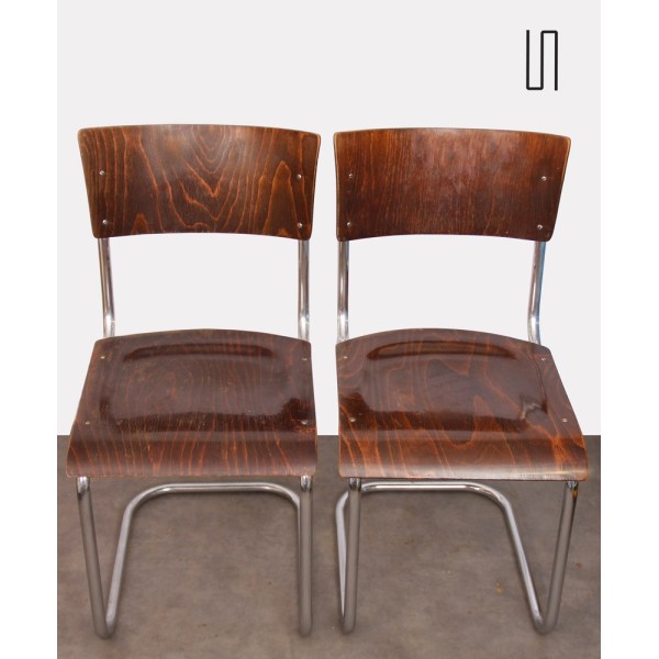 Pair of vintage chairs by Mart Stam for Kovona, 1940s - 