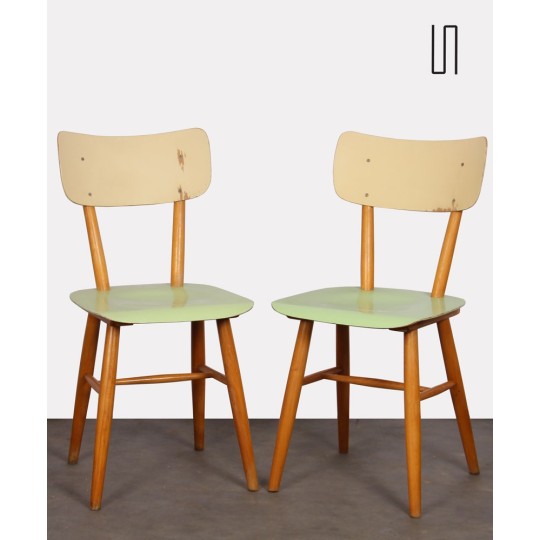 Pair of vintage chairs edited by Ton, 1960s