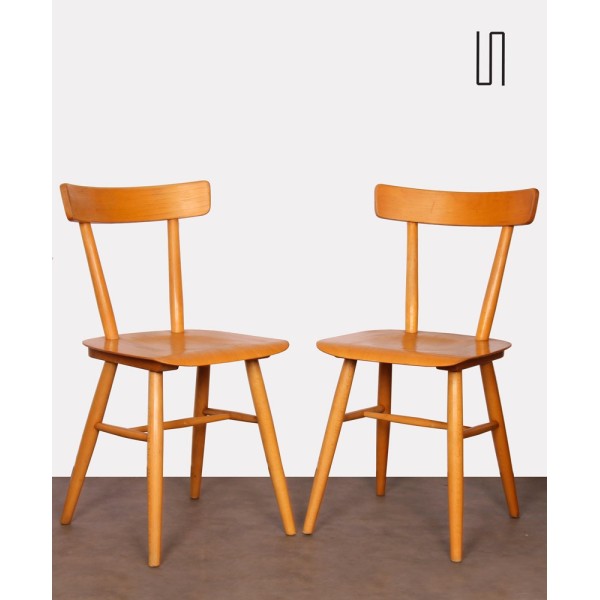 Paire de chaises vintage en bois par Ton, 1960 - Design d'Europe de l'Est