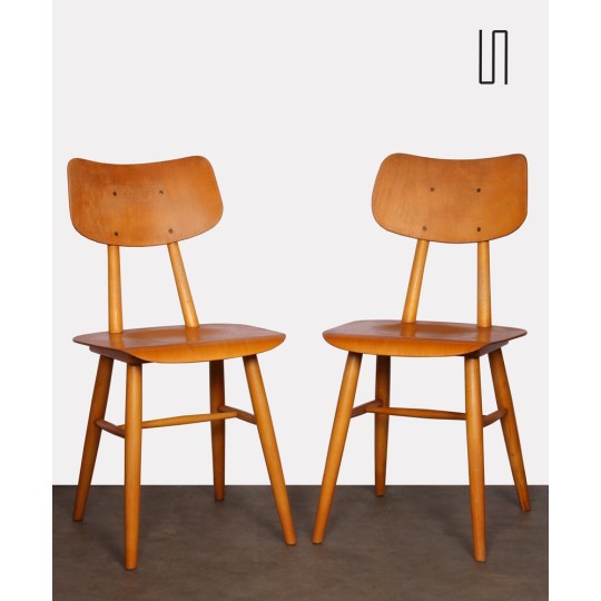 Paire de chaises vintage éditées par Ton, 1960 - Design d'Europe de l'Est
