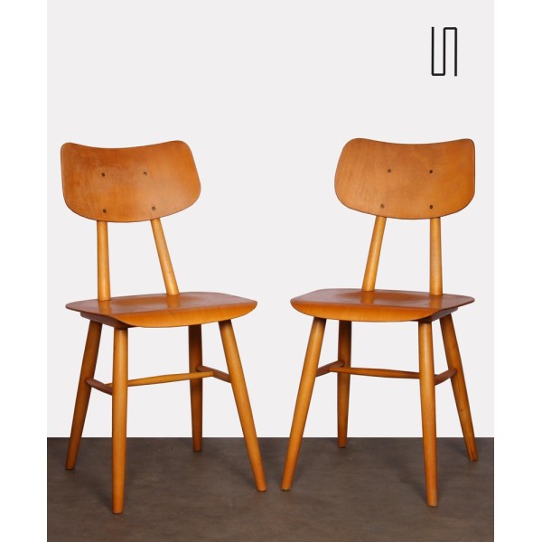 Pair of vintage chairs edited by Ton, 1960s - Eastern Europe design