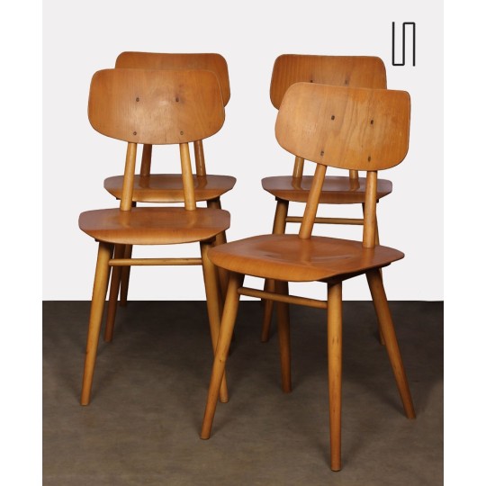 Ensemble de 4 chaises en bois produites par Ton, 1960 - Design d'Europe de l'Est