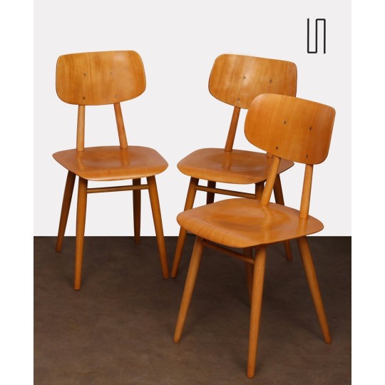 Suite de 3 chaises produites par Ton, 1960