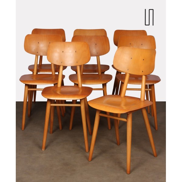 Suite of 8 wooden chairs produced by Ton, 1960s - Eastern Europe design
